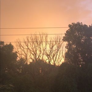 Meet your Posher, Miriam